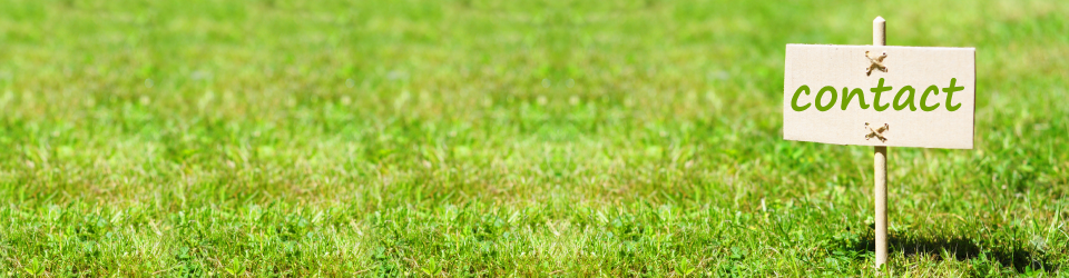 登利国際貿易株式会社の事業内容イメージ写真